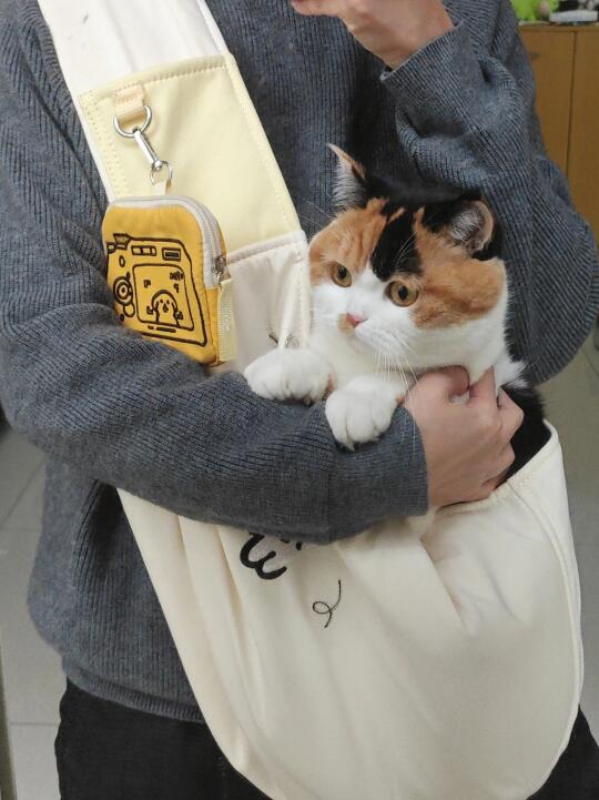 人，出门打猎记得带上猫