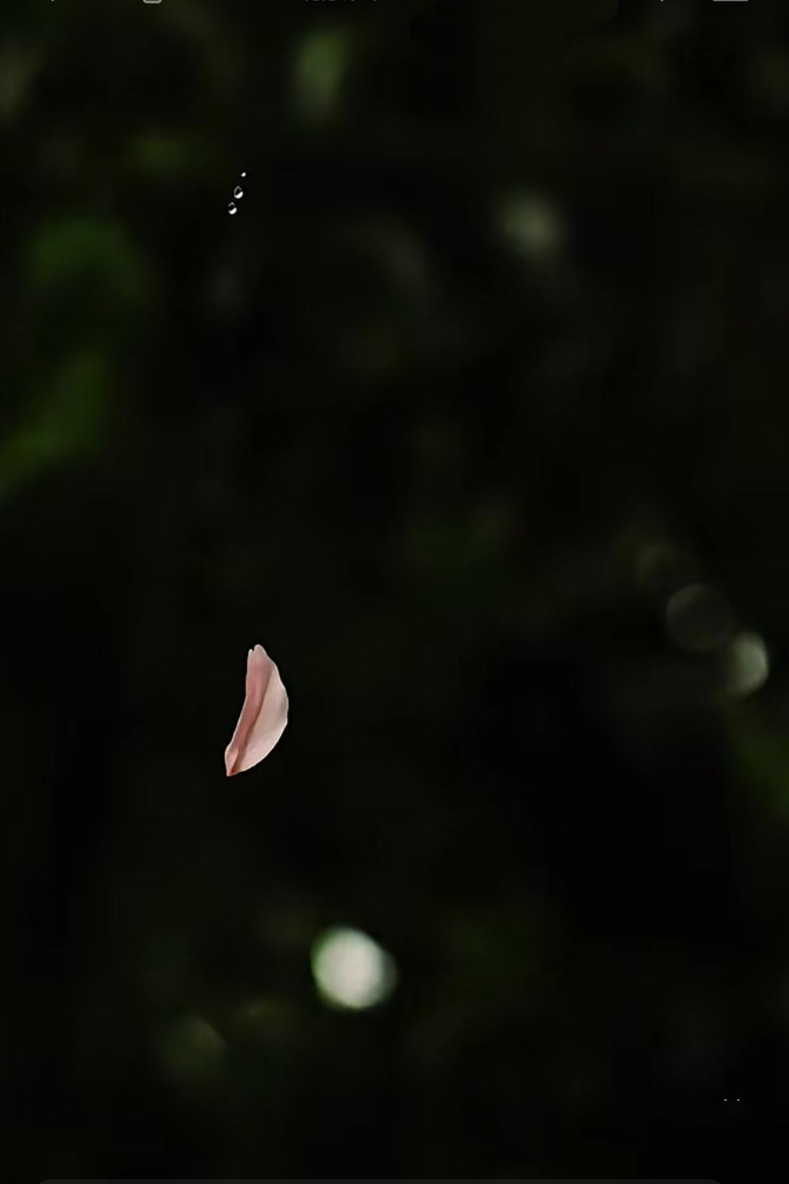 暗夜流光……
