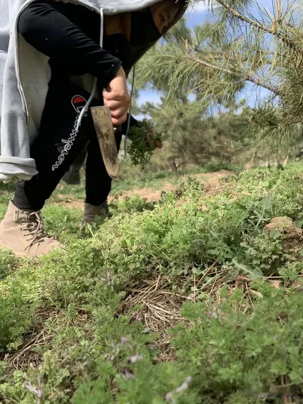 为我的真诚创作点赞！ 👍❤️🔥你也快来发布一条吧！带记录真实生活话题，更容易