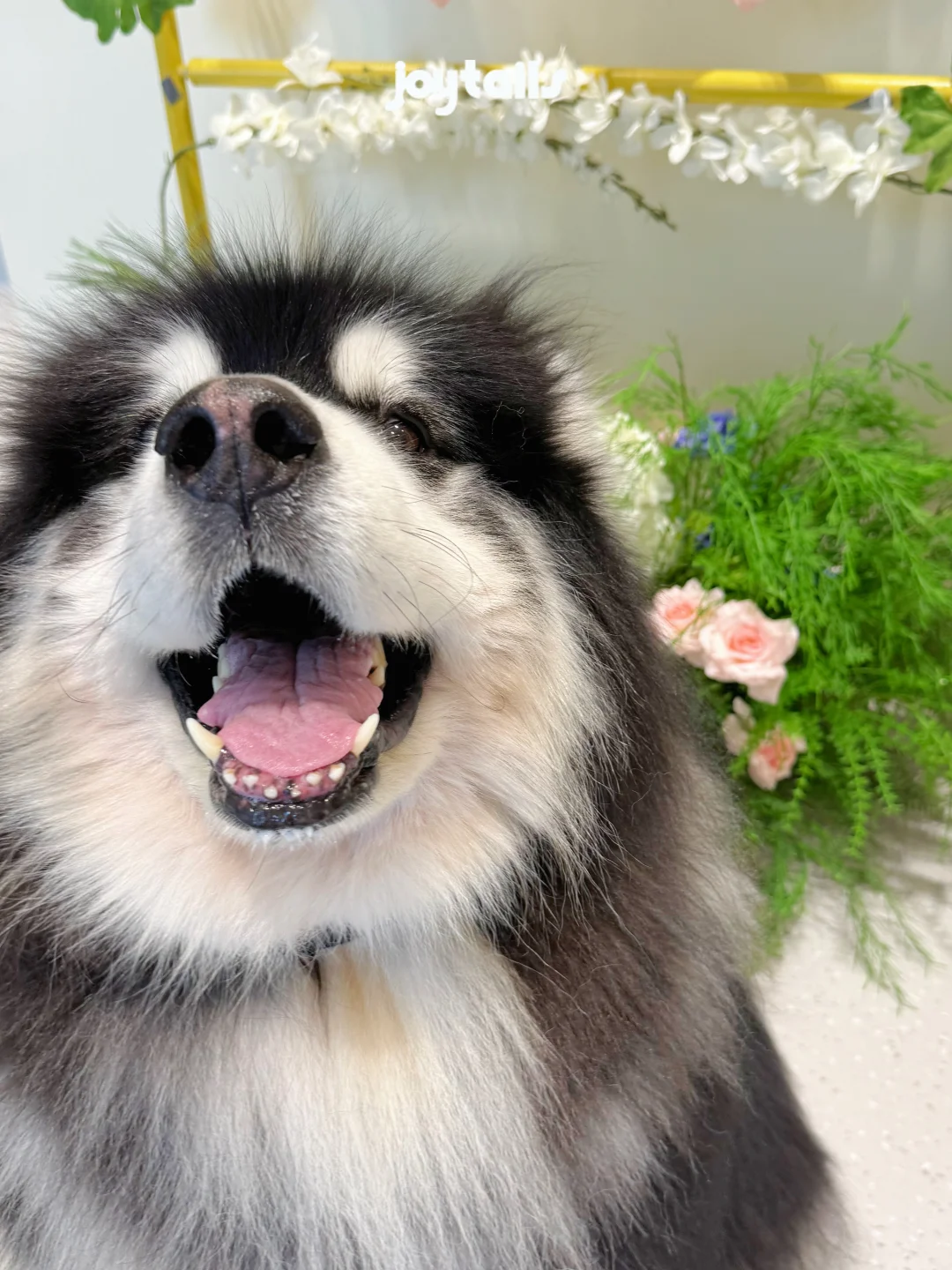 漂亮宝贝