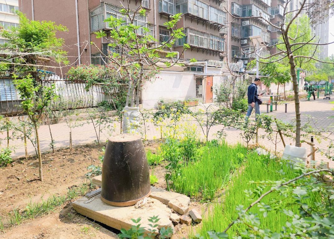 福州，男女相亲10多天后火速订婚，男方出了近100万彩礼，订婚后二人同居不久女方