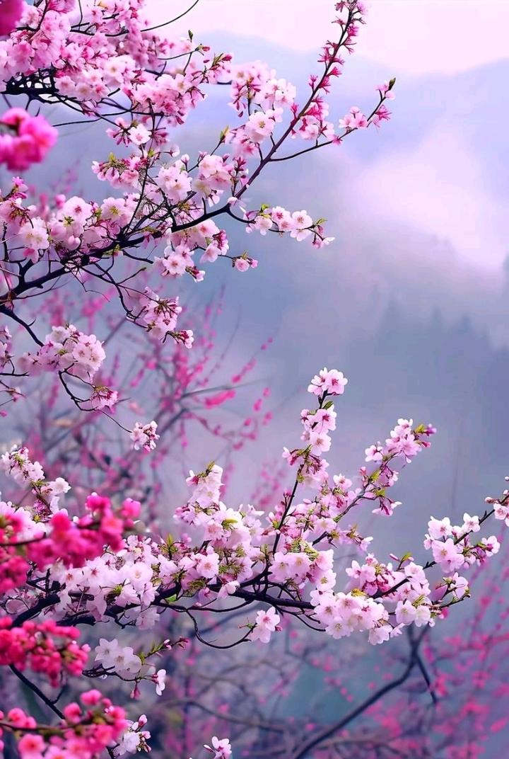 春风醉酒又喝高，
夜间轻搂桃花腰，
花儿笑风心不轨，
………请友补句………？
[