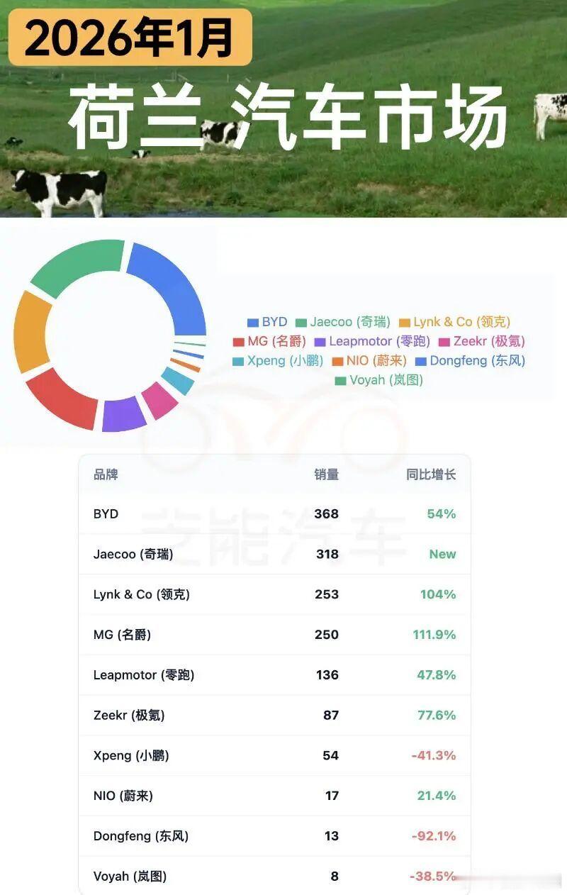 1 月荷兰车市整体下滑，受补贴退坡影响，前期需求被提前透支，市场明显降温。混动车