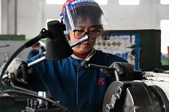 苏州作为“最强地级市”，企业版图主要由硬核制造民企和高端外资集群构成。

🏭 