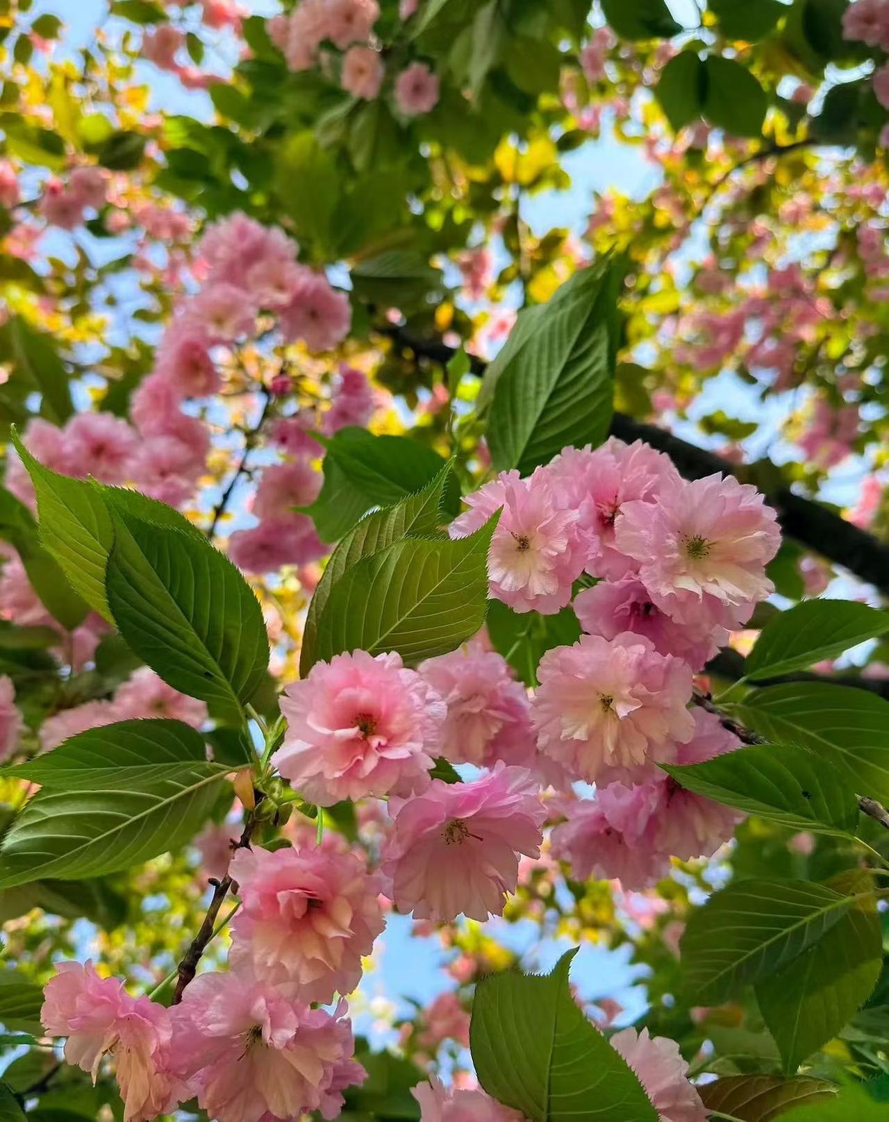 曾经以为体制内是铁饭碗，能安稳一生。
可日复一日的重复、无尽的报表、复杂的人情，