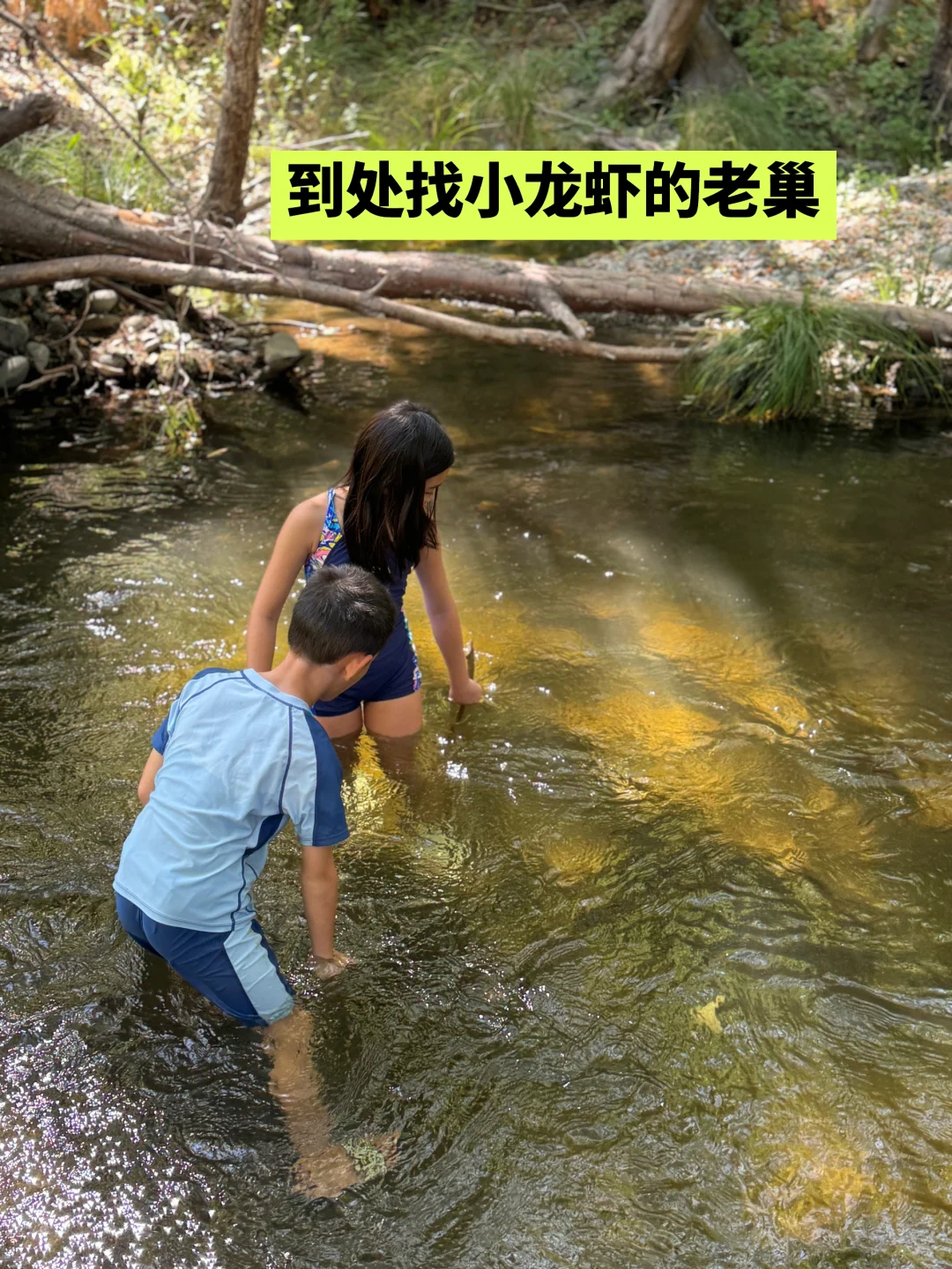 抓住夏天的尾巴