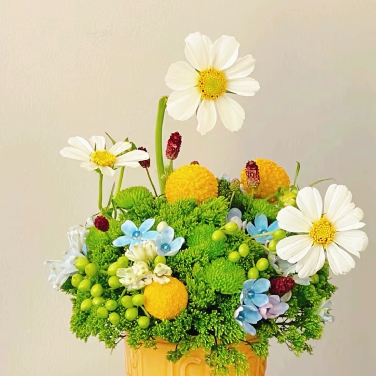 心有阳光，一路芬芳，心中有景，花香满径。早安🍓奔赴今日小美好！ 