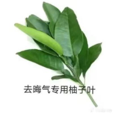 陈芋汐说与全红婵关系不被舆论左右代表作是全红婵吧，采访必提全红婵