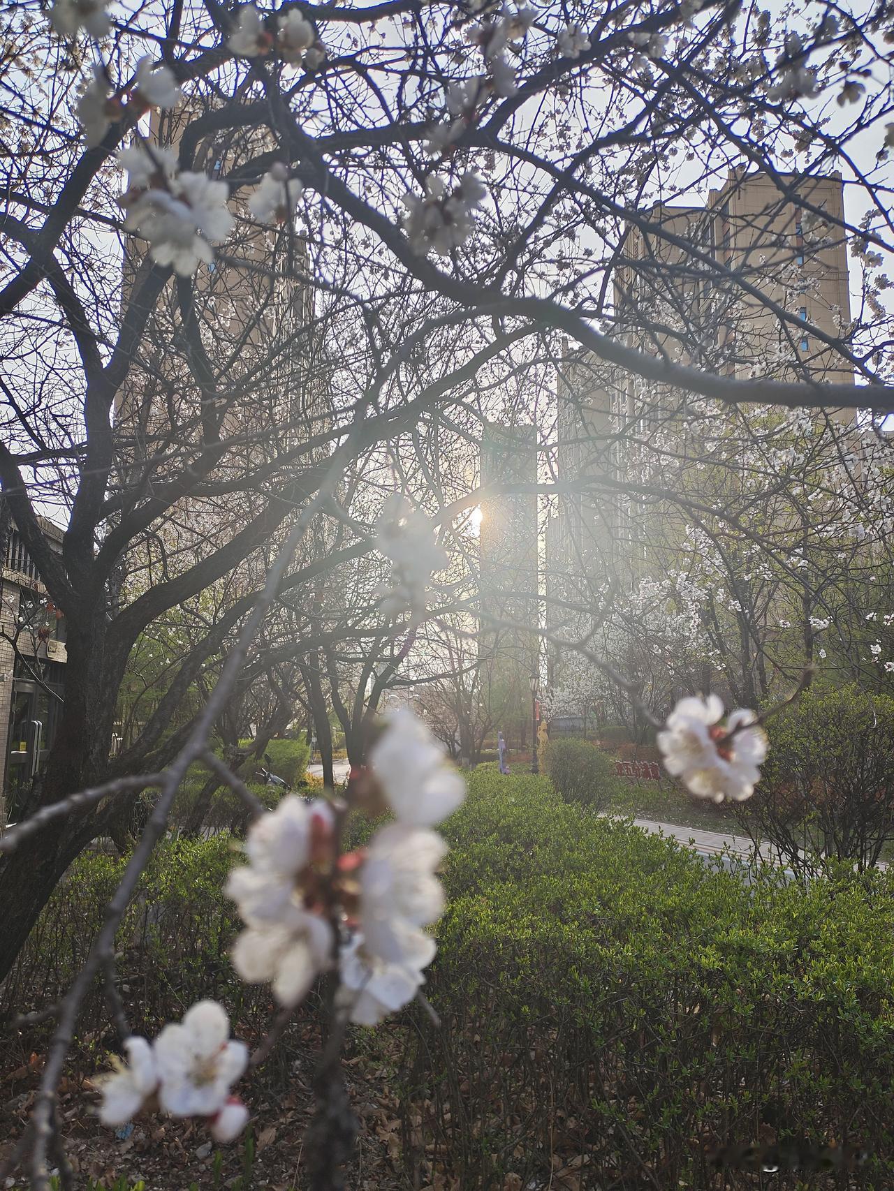 头发不遮额头，阳气才足
 
林姐今年快四十，自打三十岁后，总爱留厚厚的齐刘海，把