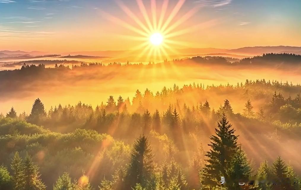 最近的市场走地不如人意，目前的市场处于牛市上半场与下半场的交接阶段，震荡是难免的