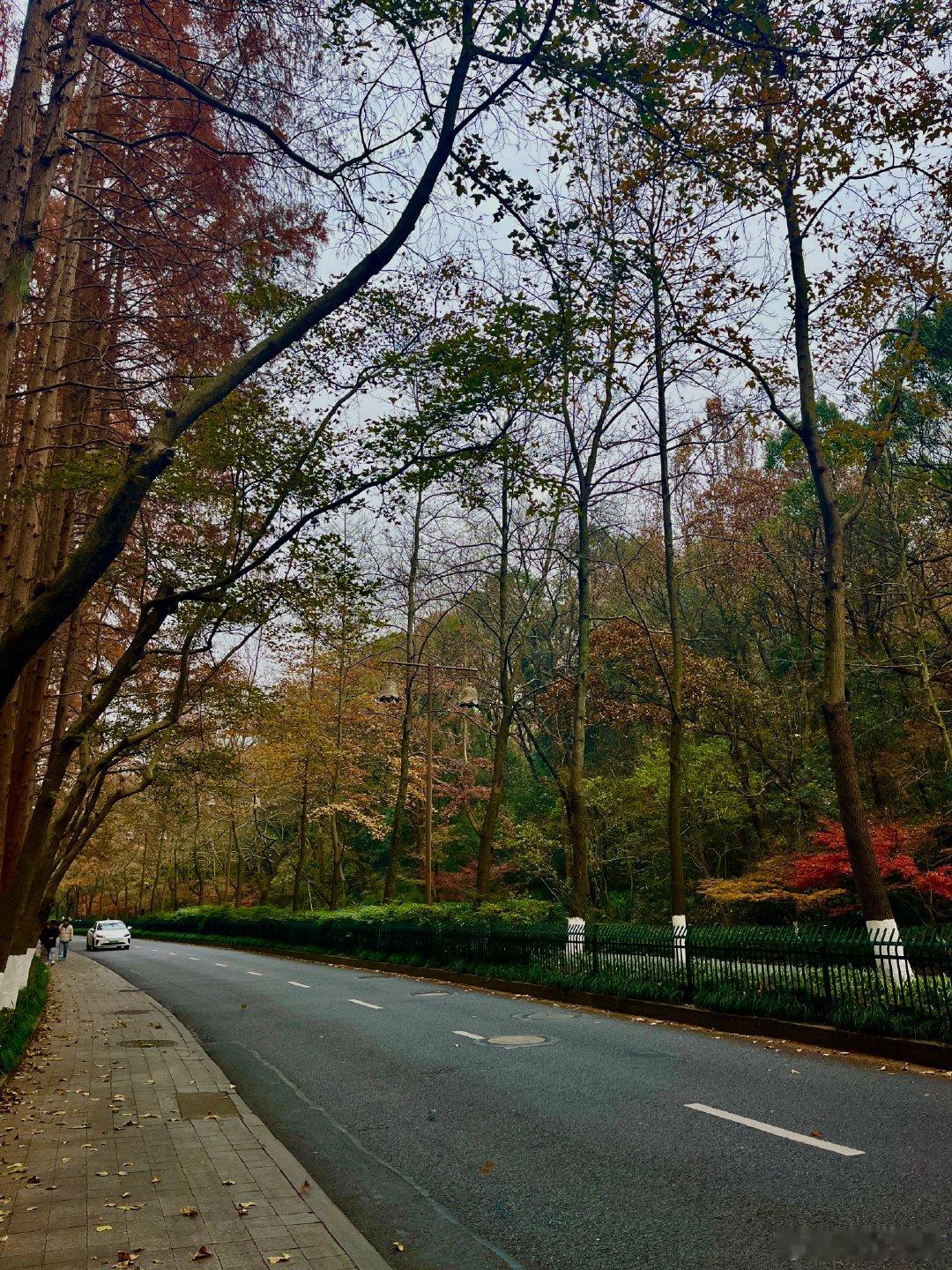 刚刚跟一个姐妹做完咨询，姐妹说她是从抖音开始关注我的，后来在小宇宙又凑巧听到了我