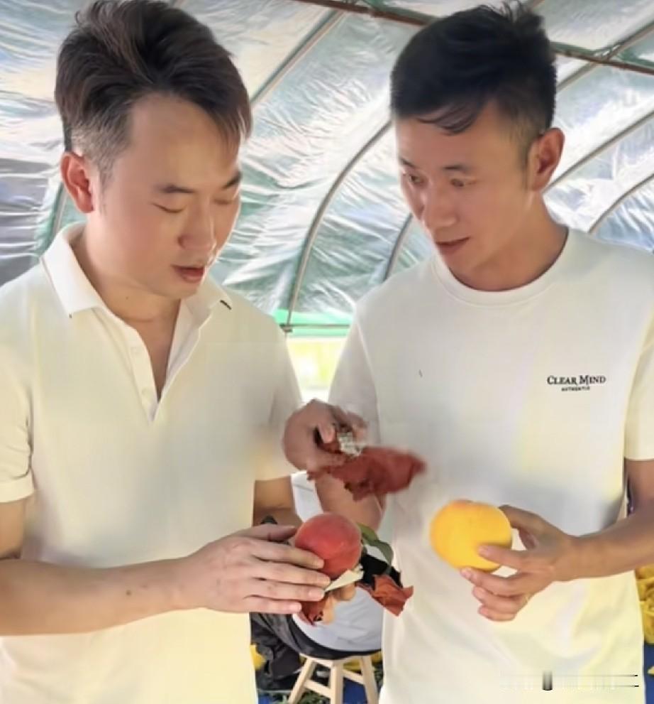 厉怀远这是马上要带货了？看着他果园中的桃子的确很不错，就是不知道大家会捧场吗。