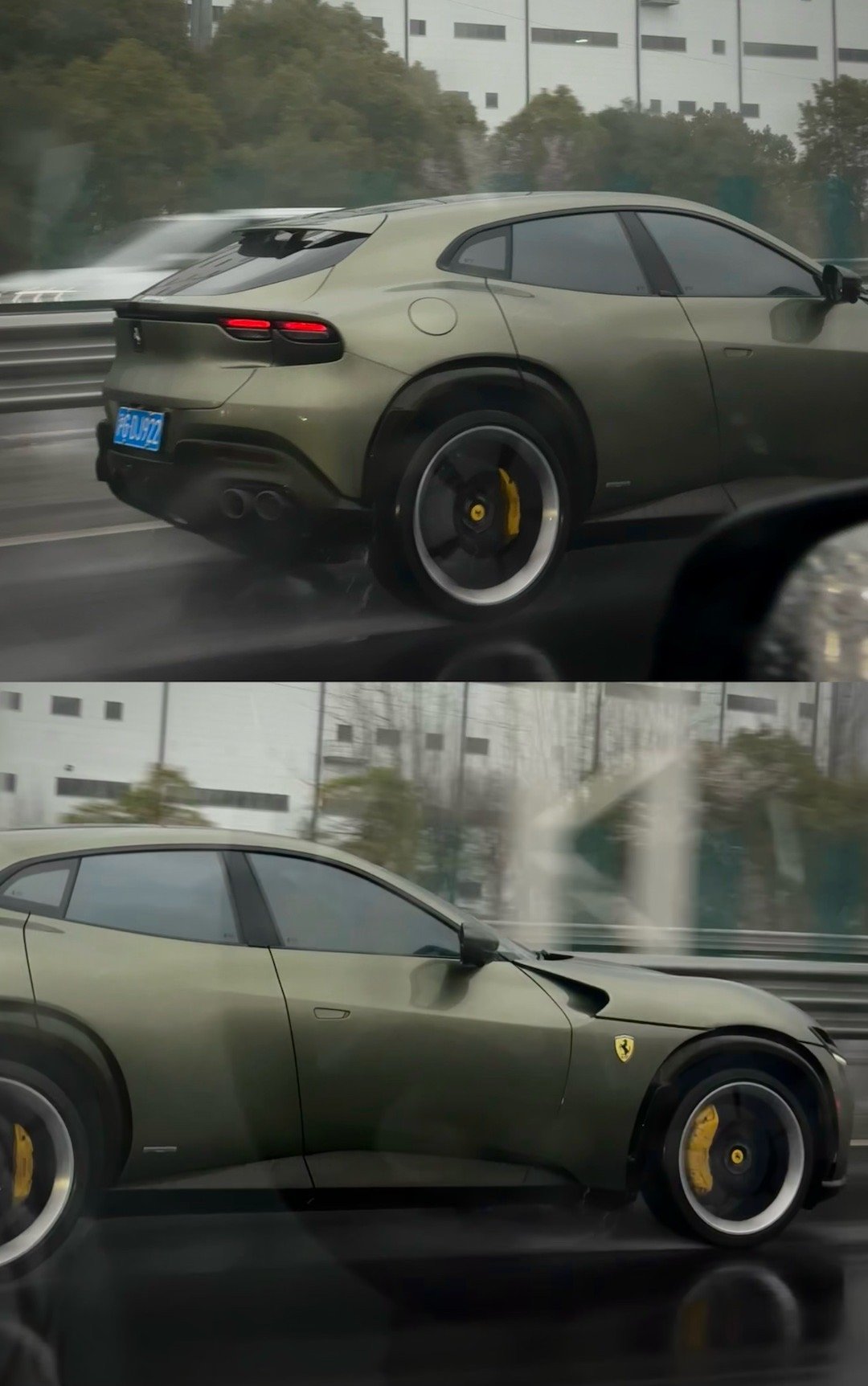 偶遇purosangue 真帅啊 