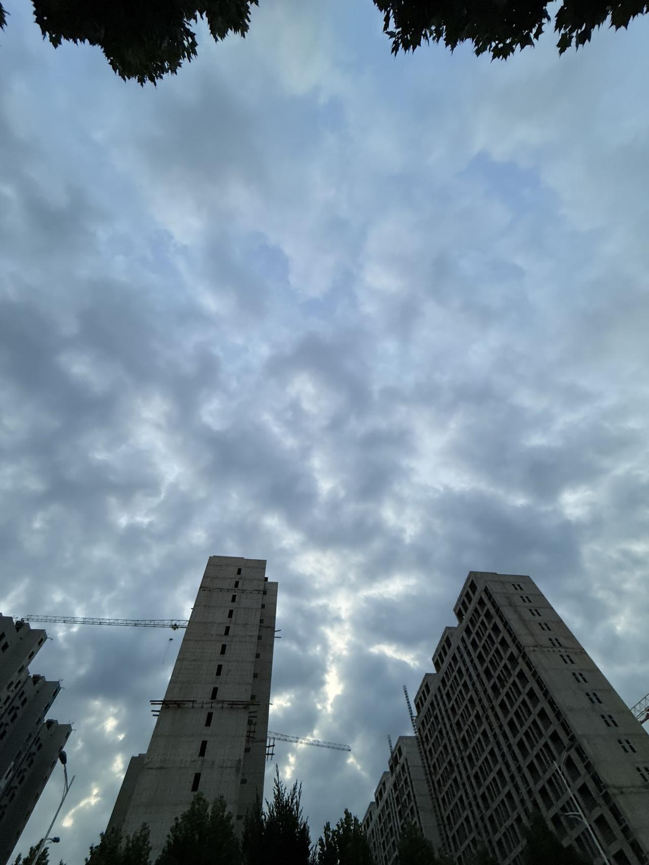 菲尔兹 王虹 邓煜