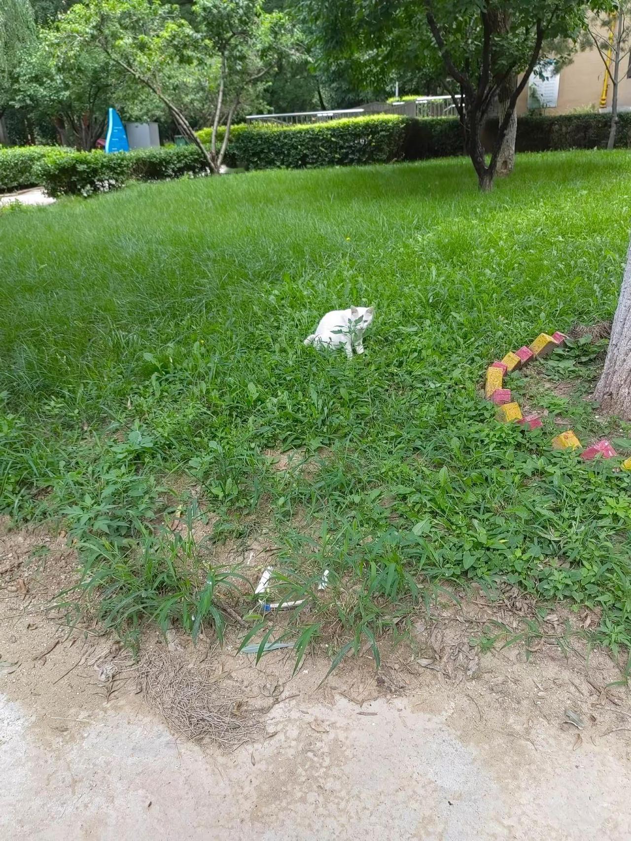 闲情逸致