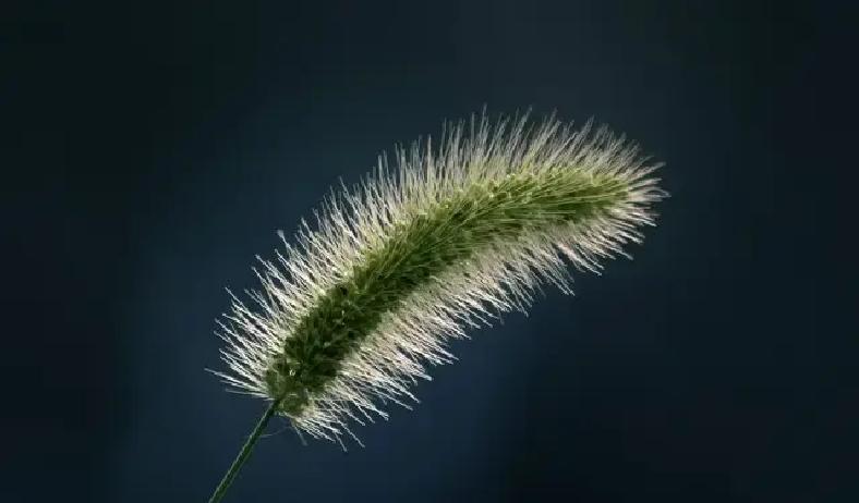 那个总让你心跳加速的强势家伙，为什么一夜间开始躲闪你的目光？

这种转变藏在人际