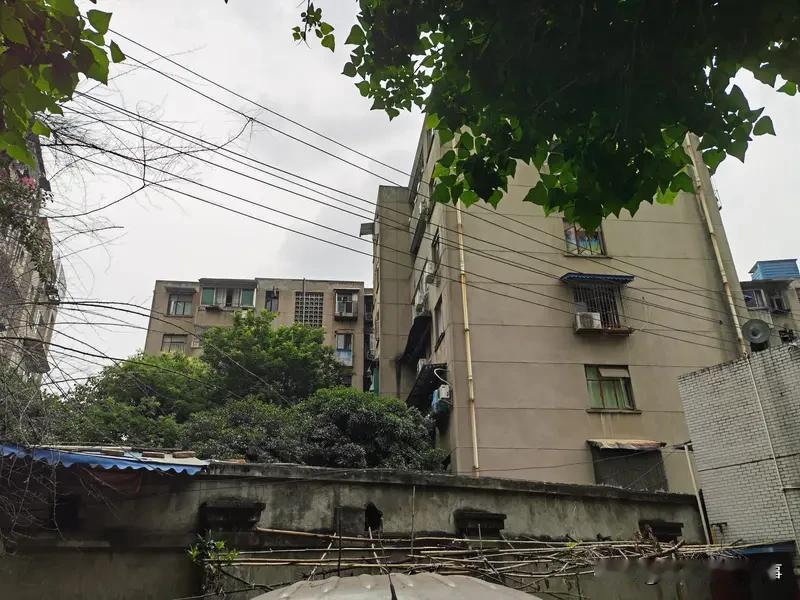 判了！女子家门口遇害案，凶手死缓引热议！
家人们，成都女子家门口遇害案一审宣判结