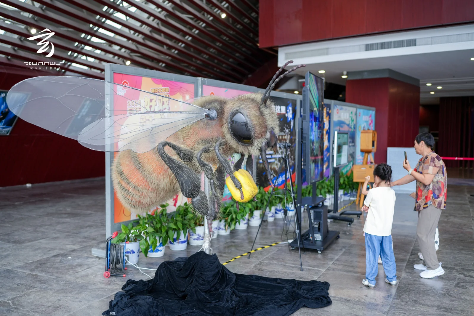 厉害了我的大南京 🎉2024数字文旅夜间消费季来啦！🌃 玄武湖东岸...