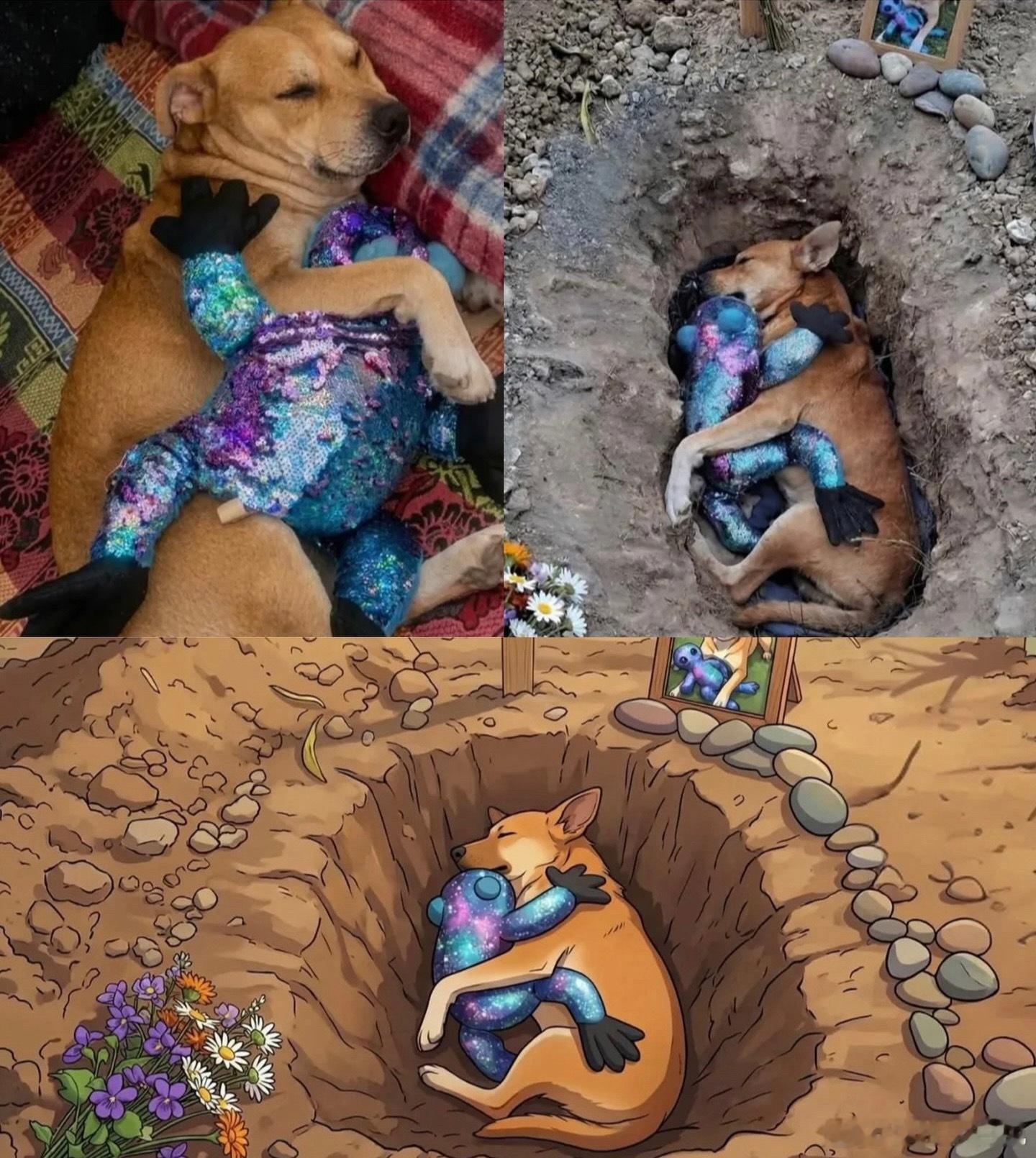🐕它的小玩偶始终陪在它身边…直到永远 ​​​