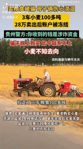 河南新乡，一对母子卖小麦，3车小麦共100多吨，总共卖了28万，买家把钱转到微信