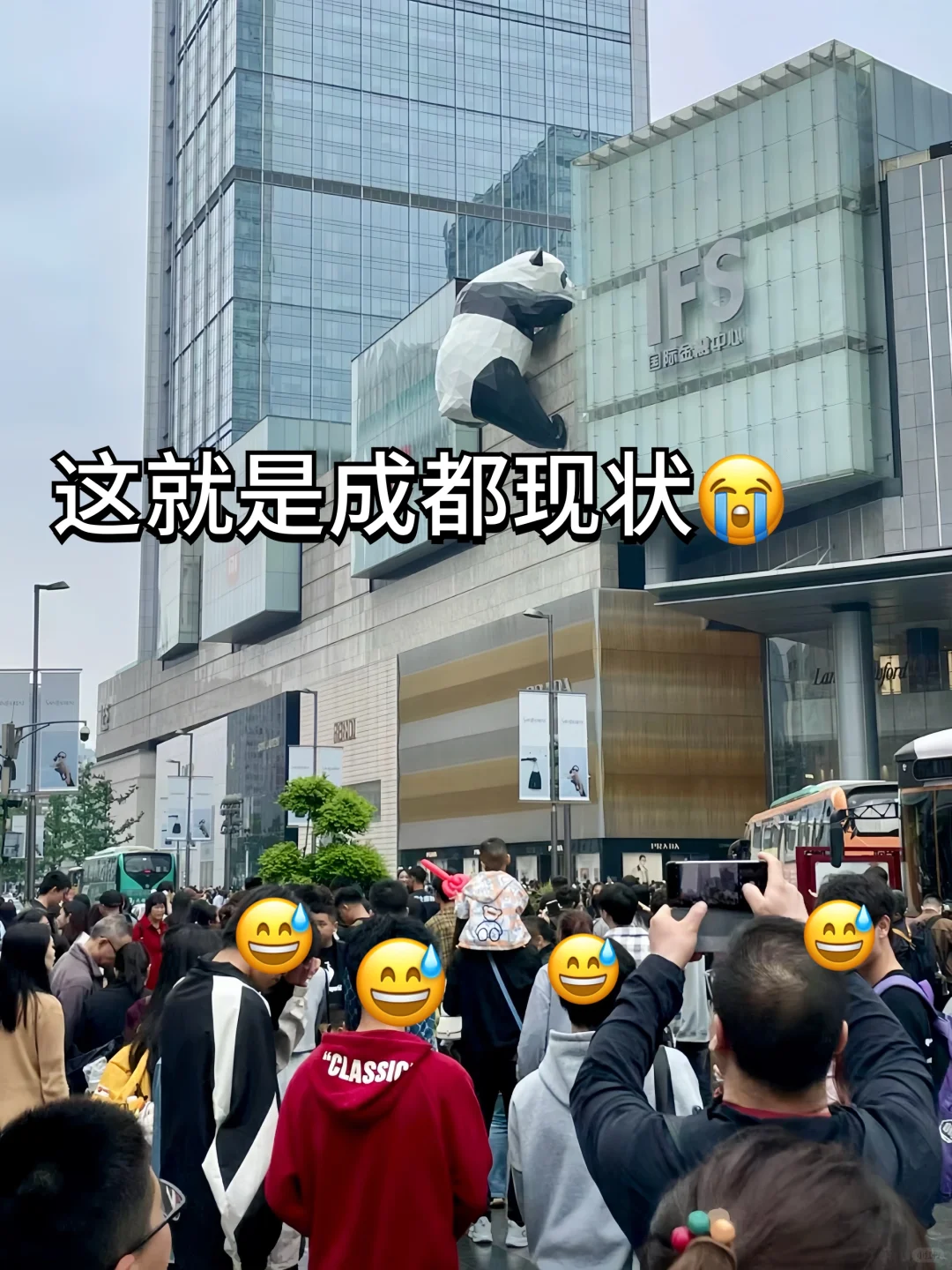 成都帮大家试过了，这就是现状-☀️在成都