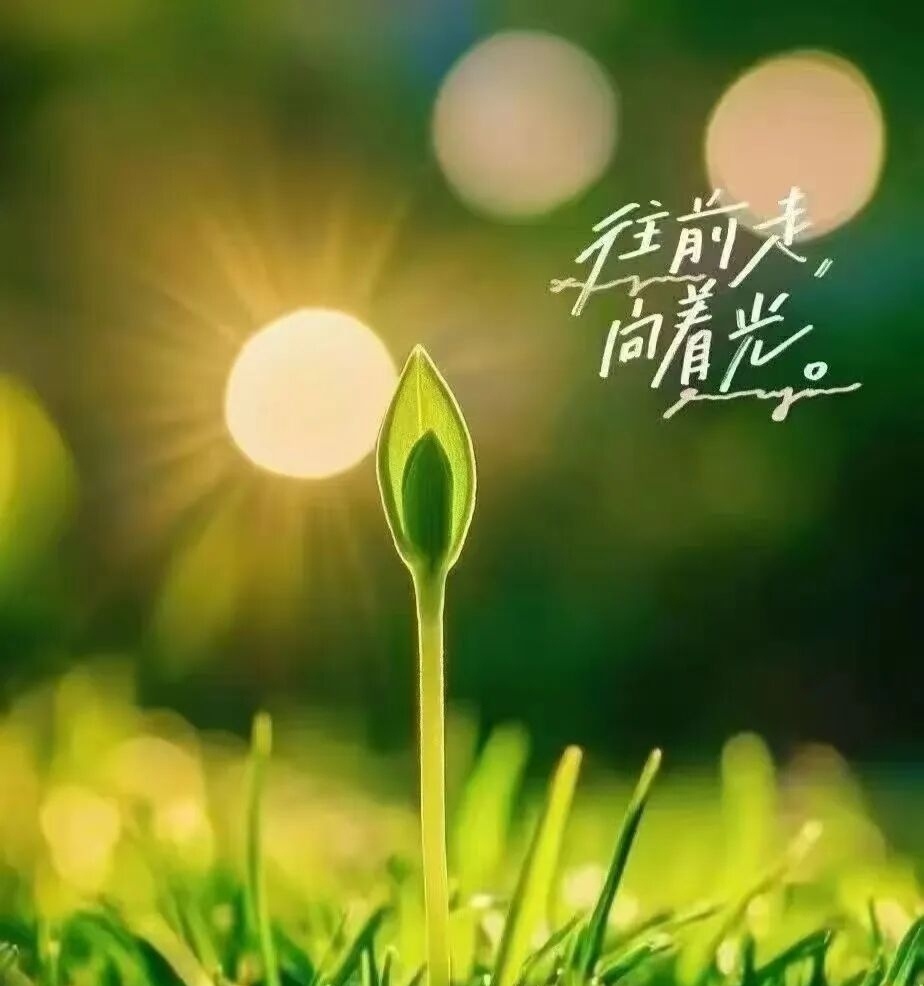 早安🌸周二愉快，心怀浅浅欢喜，慢度岁岁朝夕，余生清净且自愈。 