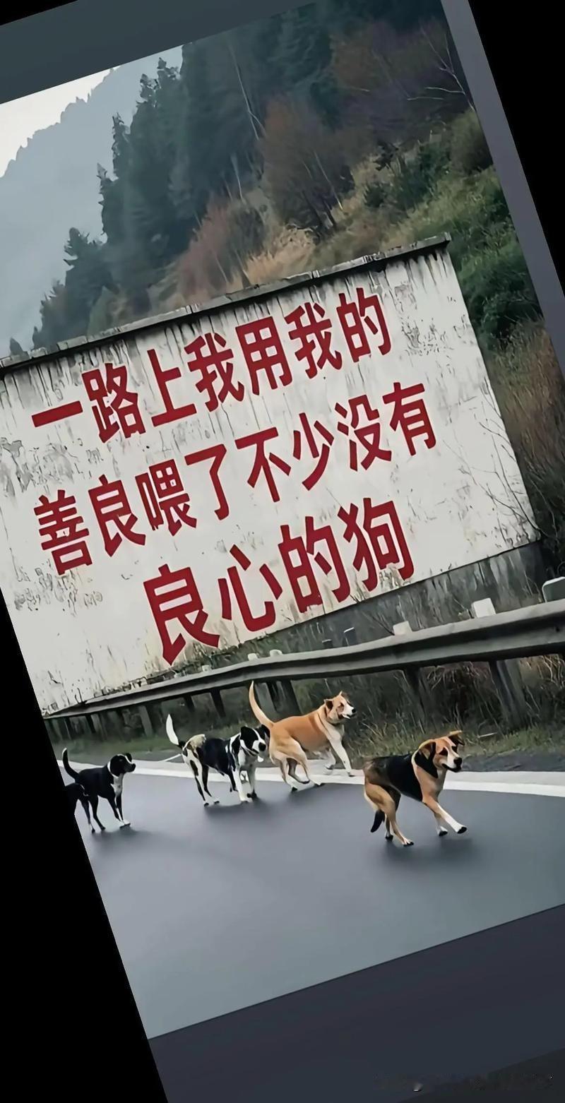 现在这个社会，你想做好事都很困难。
学雷锋日，曾经有一位出租车司机想学雷锋，做好