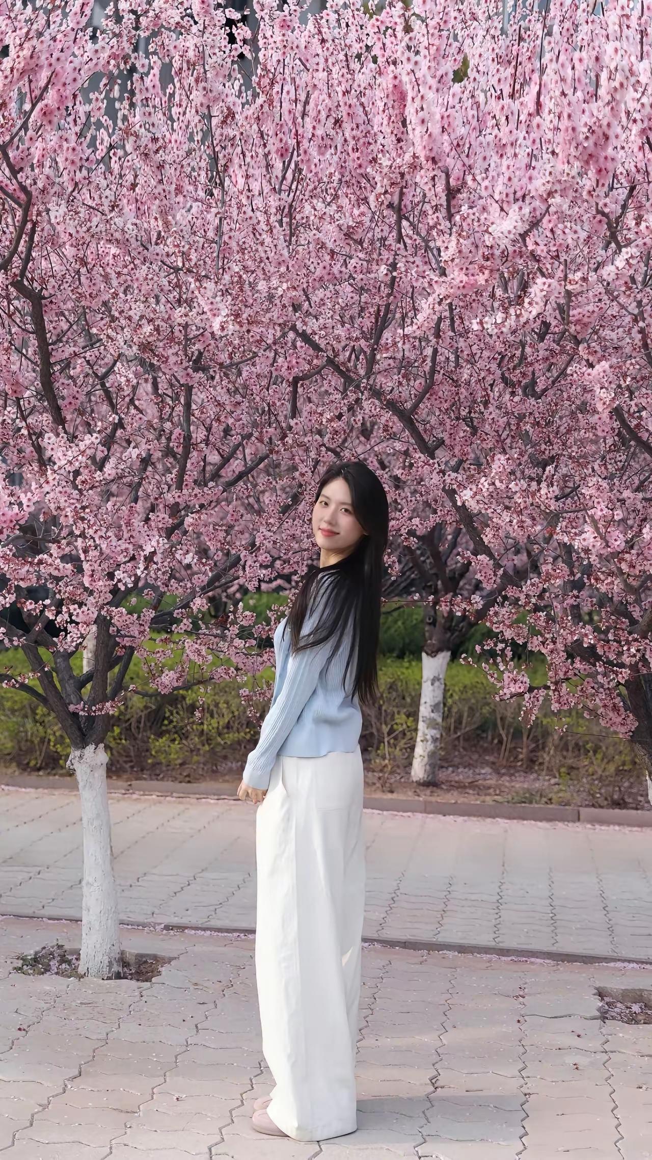 谁懂啊！春日和樱花的适配度直接拉满✨
 
浅蓝开衫配白裤子，一头长发被粉色花海轻