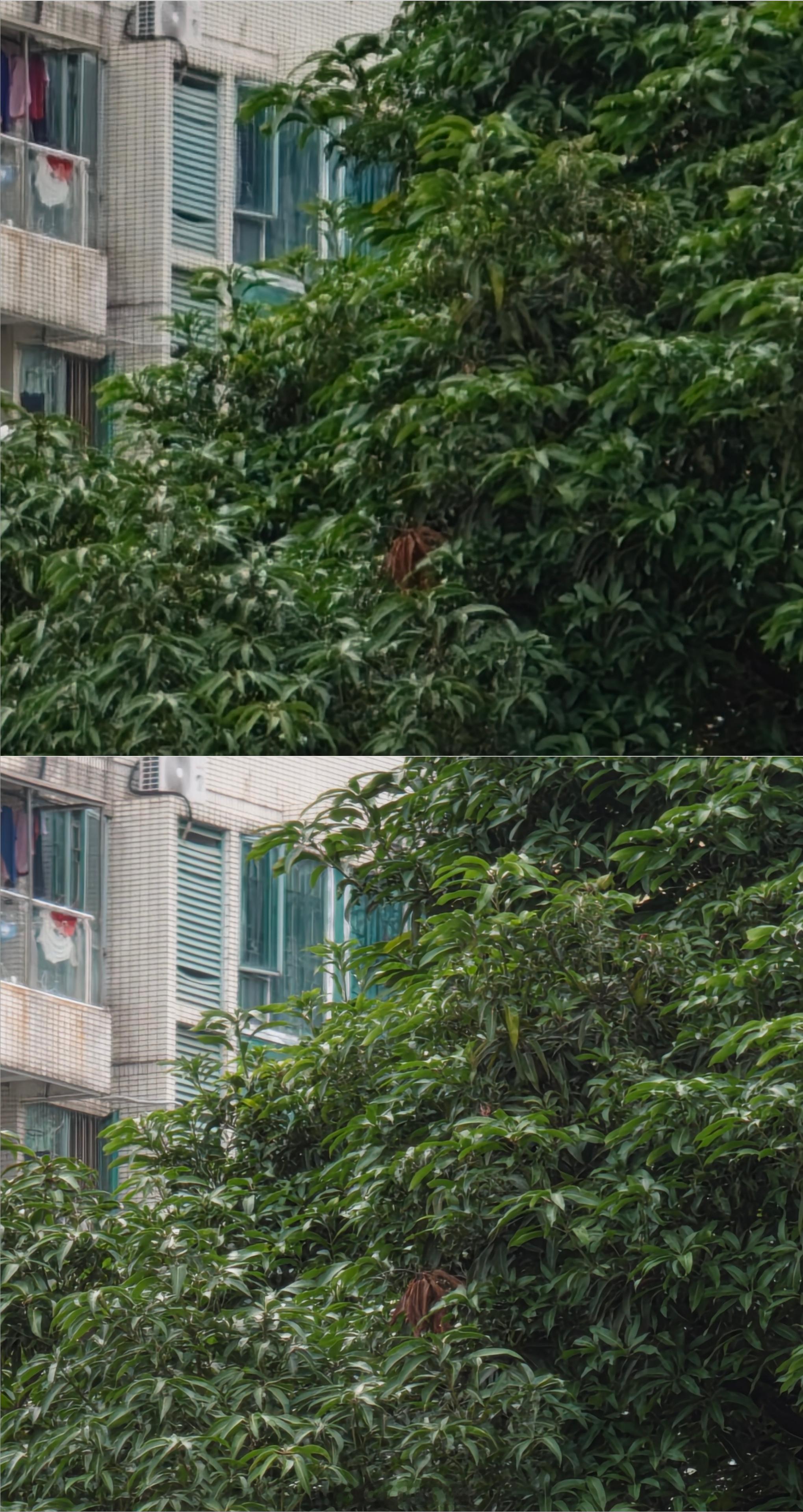 2亿长焦对比，不带增距镜，就当图一乐传感器大小不同，等效焦距也有差异