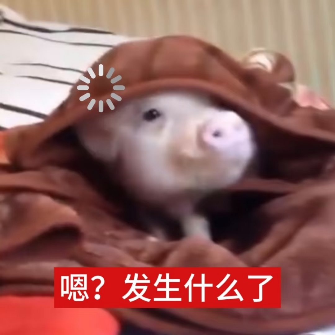 棵棵西里