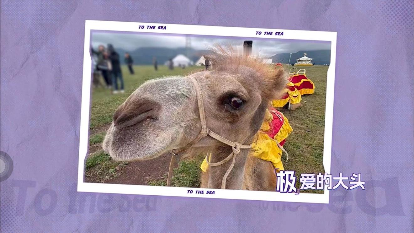 张泽禹张极不明显情侣头像 ​​​