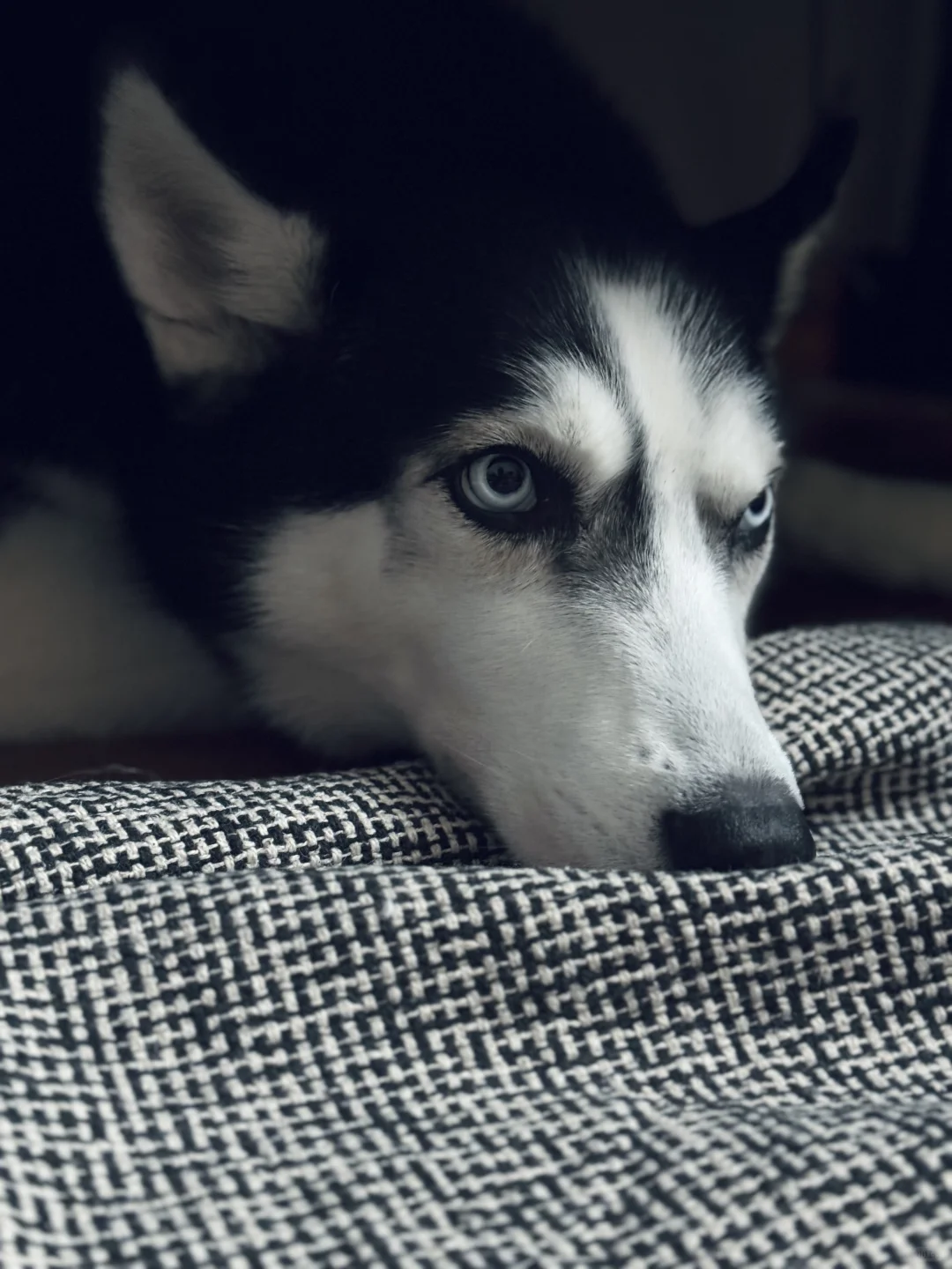 她怎么这么好看