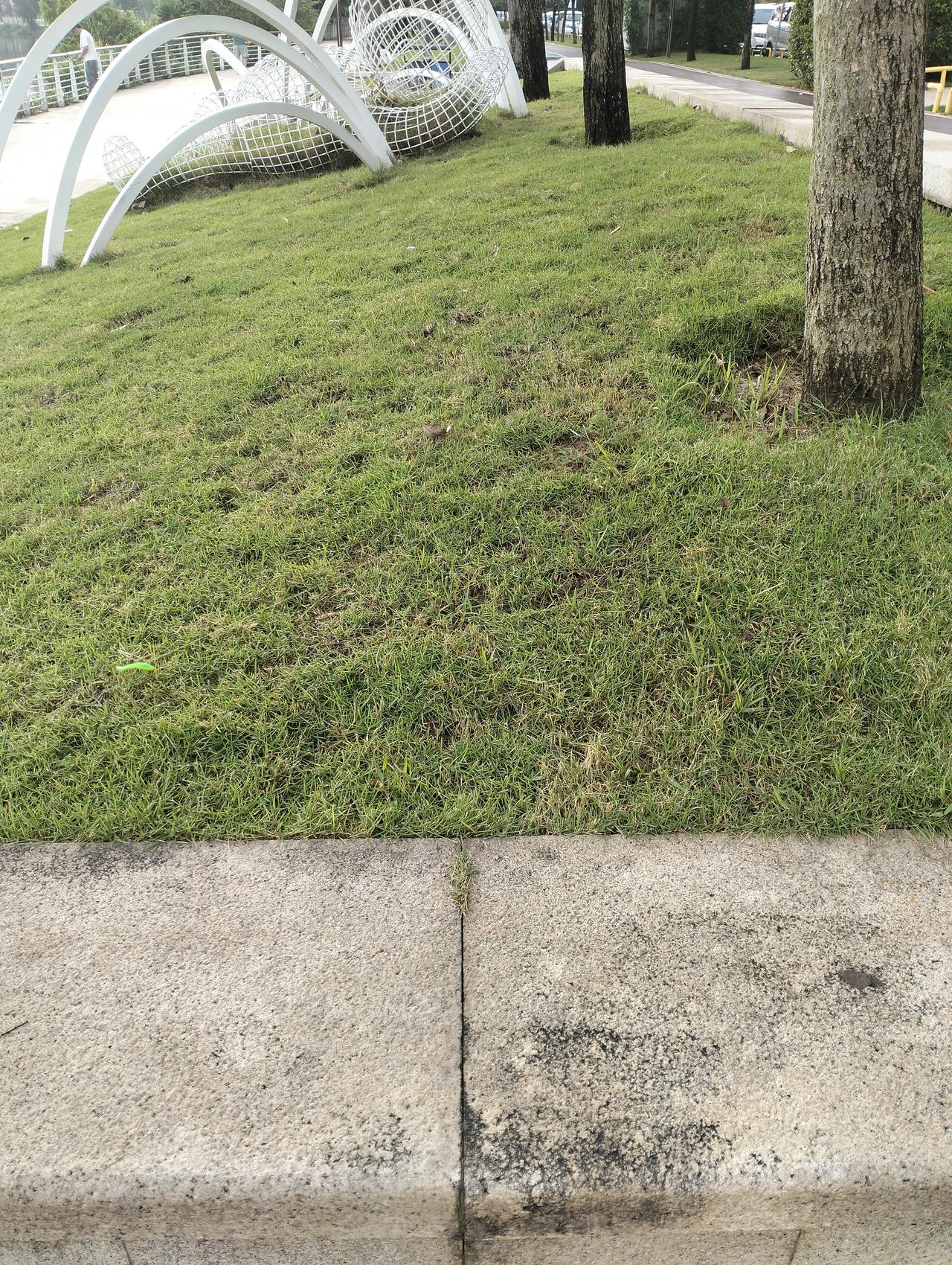 醍醐灌顶的一段话：“当我们失业了，选择往下探生存的时候，比如说去摆摊、送外卖、跑