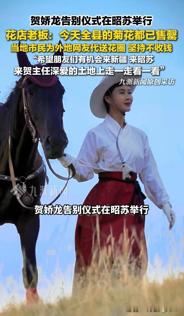 昭苏的冷风吹不散满城的温情，全县菊花一售而空，素白的花束堆在雪地里，像一片温柔的