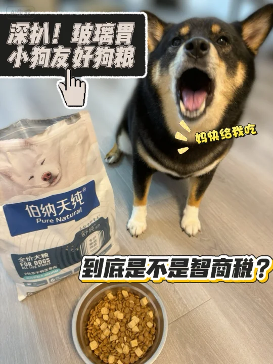 当我换掉基础粮，养好玻璃胃小狗易如反掌🐾