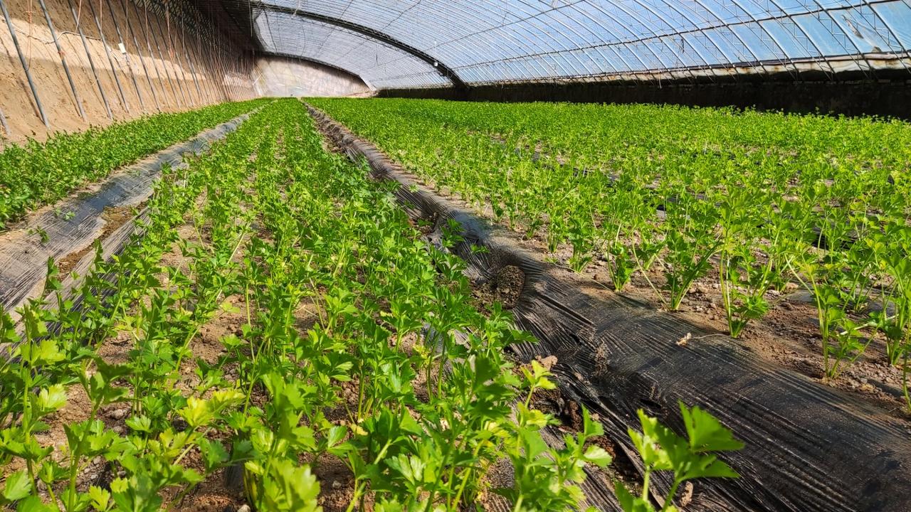 新的一年想多陪陪谁兄弟姐妹～