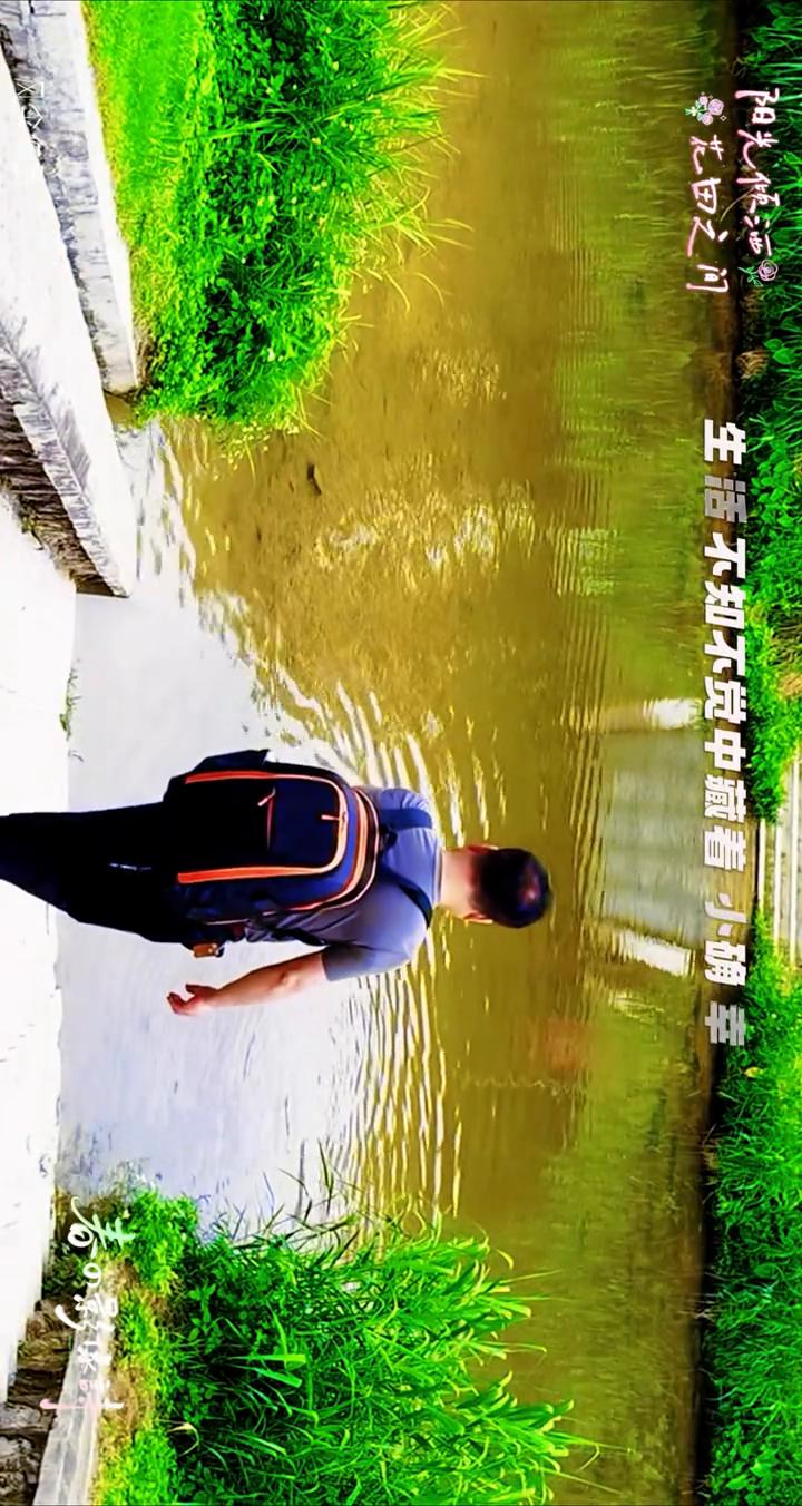 舞花田之间。
生活不知不觉中藏着小确幸，阳光便酒，微风轻玩，鄂花瓣片片，听风西的