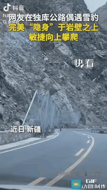 新疆独库公路上，一对情侣开车经过荒凉山谷时，副驾驶女生突然一声惊呼，发现岩壁旁竟