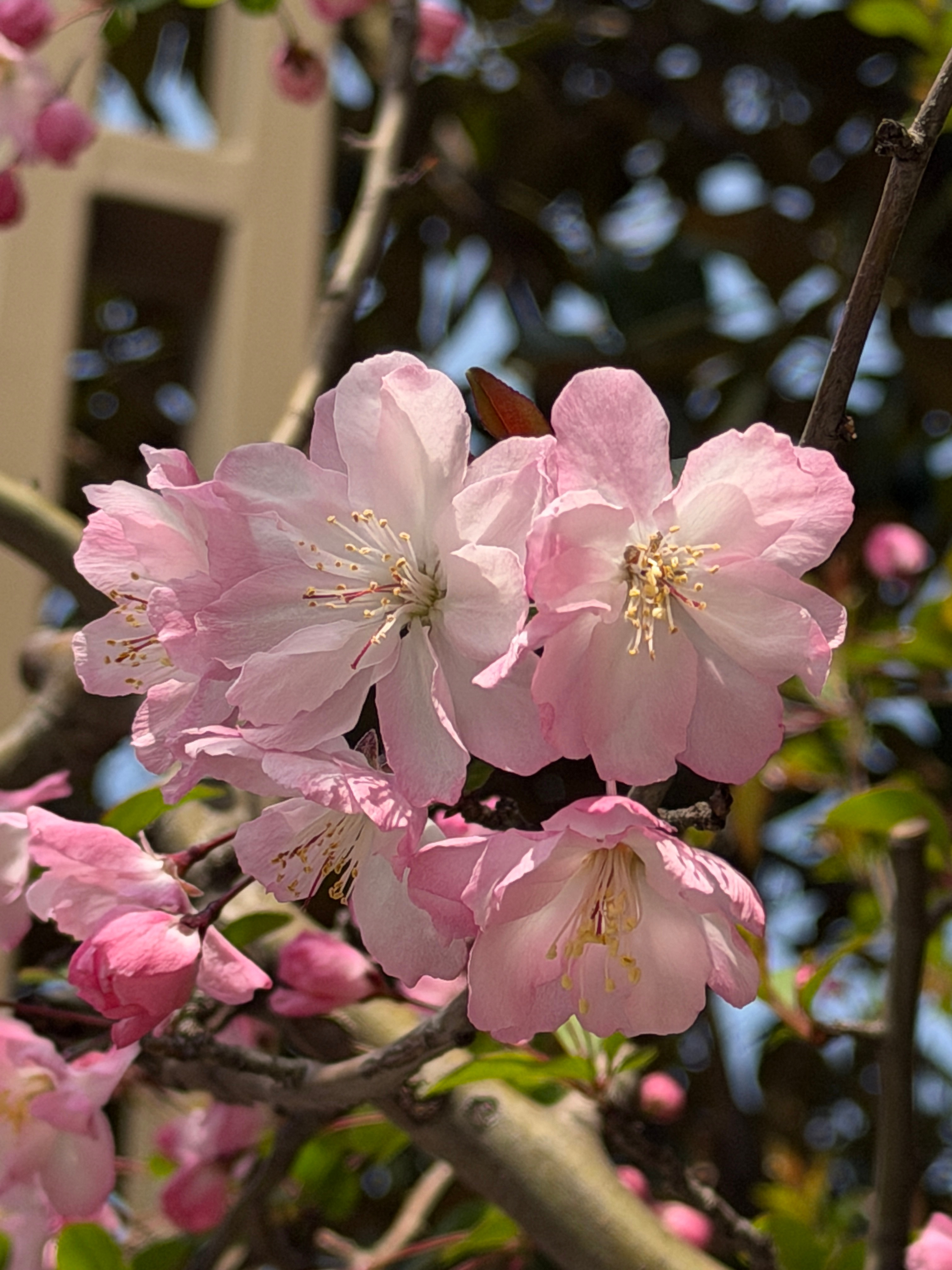 这次去深圳出差买了公务舱，老婆说这么贵票你也买。。。我说两件事情我想明白了，1）