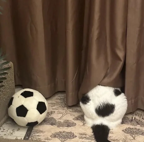拟态 