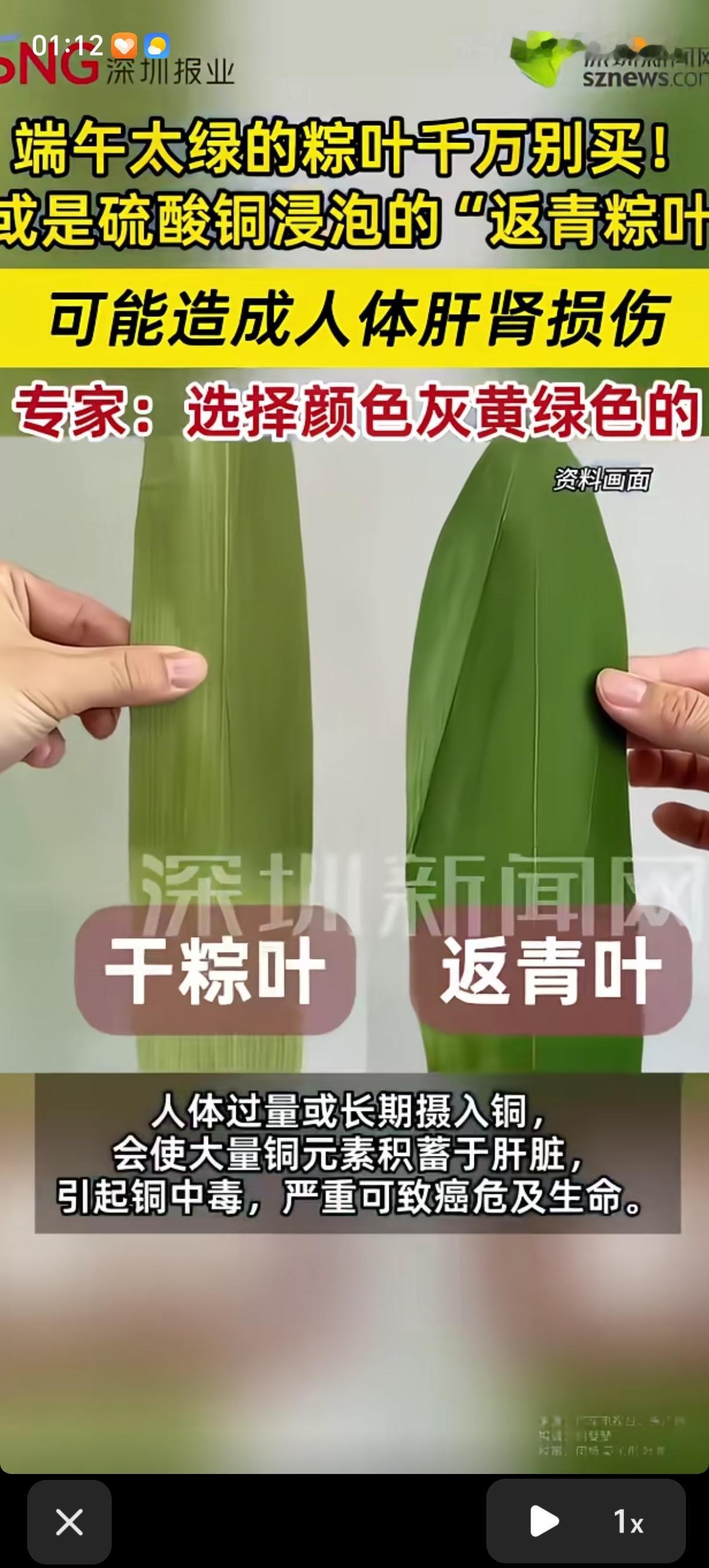 端午节马上到了，专家提醒遇到太绿的粽子叶子千万别买，因为那可能是硫酸铜浸泡过的“