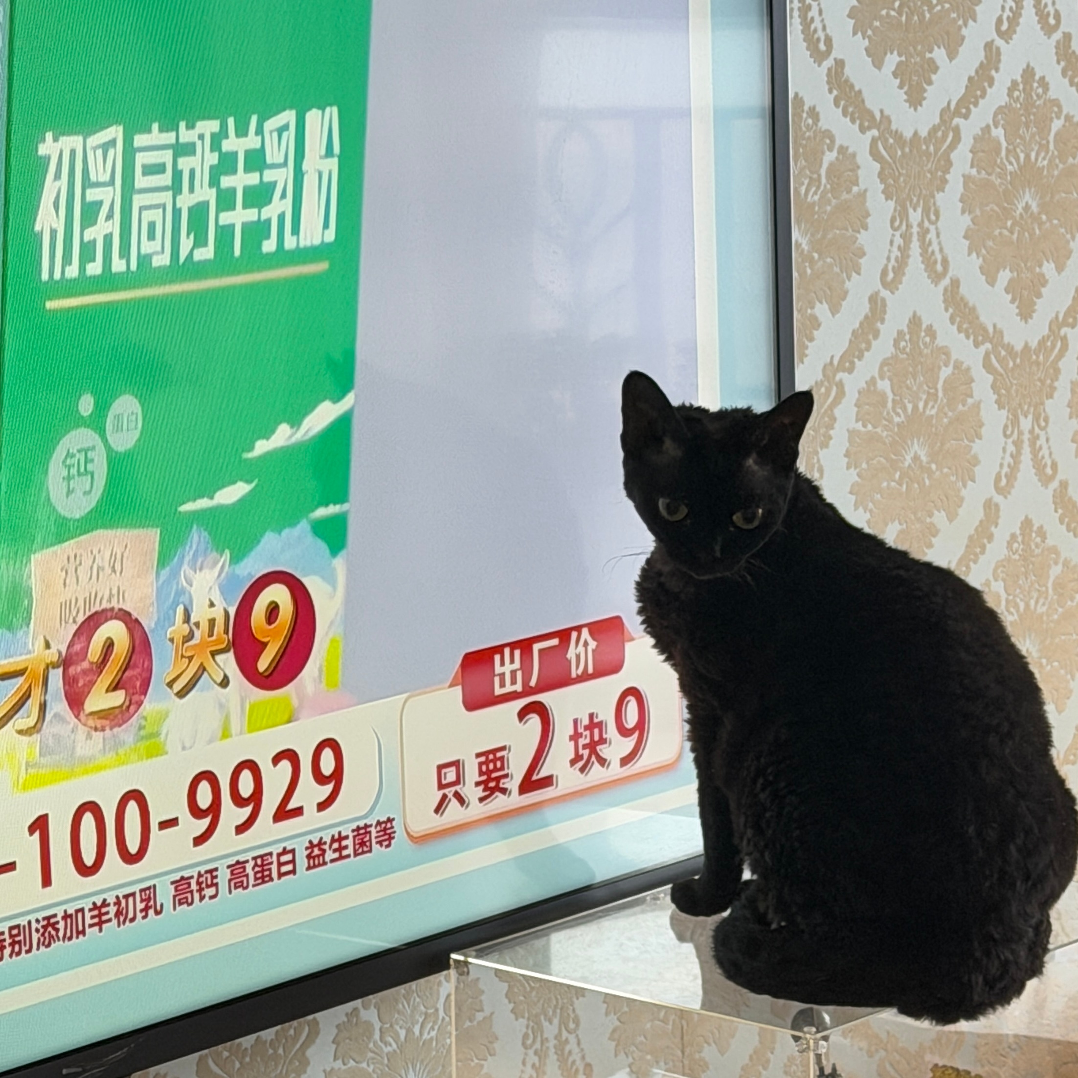 出厂价只要2块9 