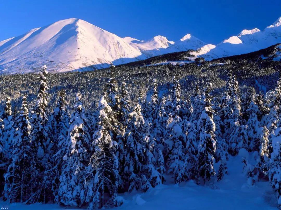 带你看雪景雪景真是美不胜收呀，雪花纷纷扬扬飘落，给世界披上银白的盛装，山川、树木