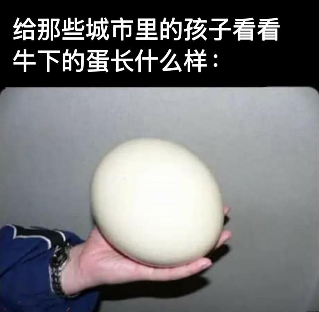 给你们见识见识meme