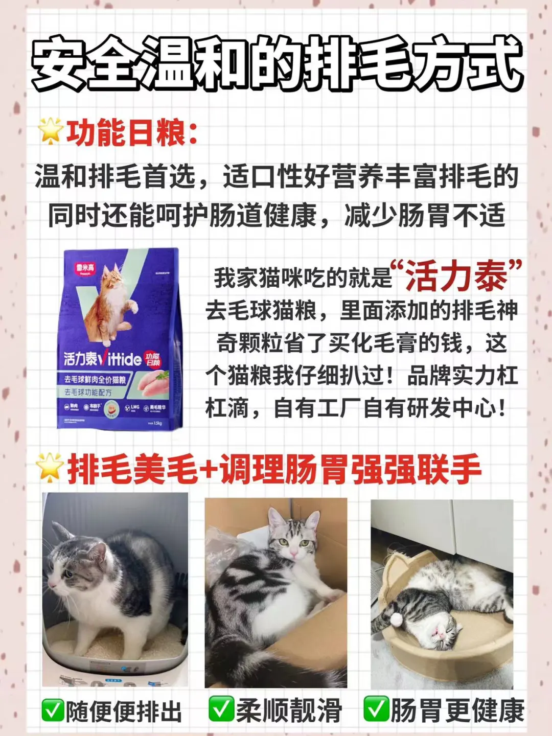 猫咪吐毛球自救之路！新手铲屎官🐎住