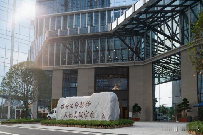 胎停备孕1年未果，病因竟在男方？88天一次移植成功背后的医学真相

备孕路上，最