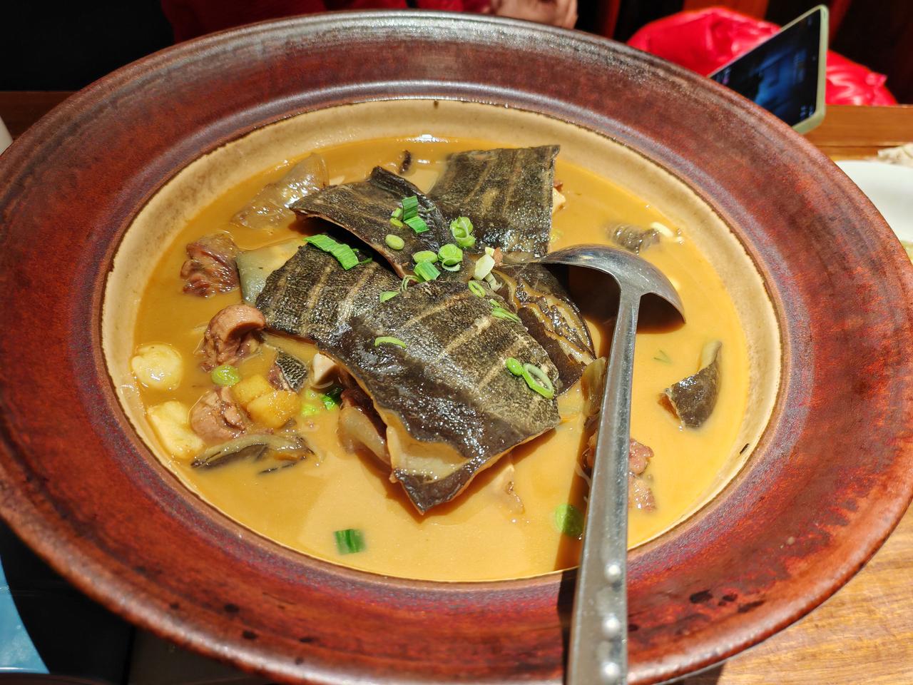 春日生活打卡季