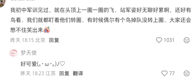 候鸟迁徙原来还会排练 ​​​