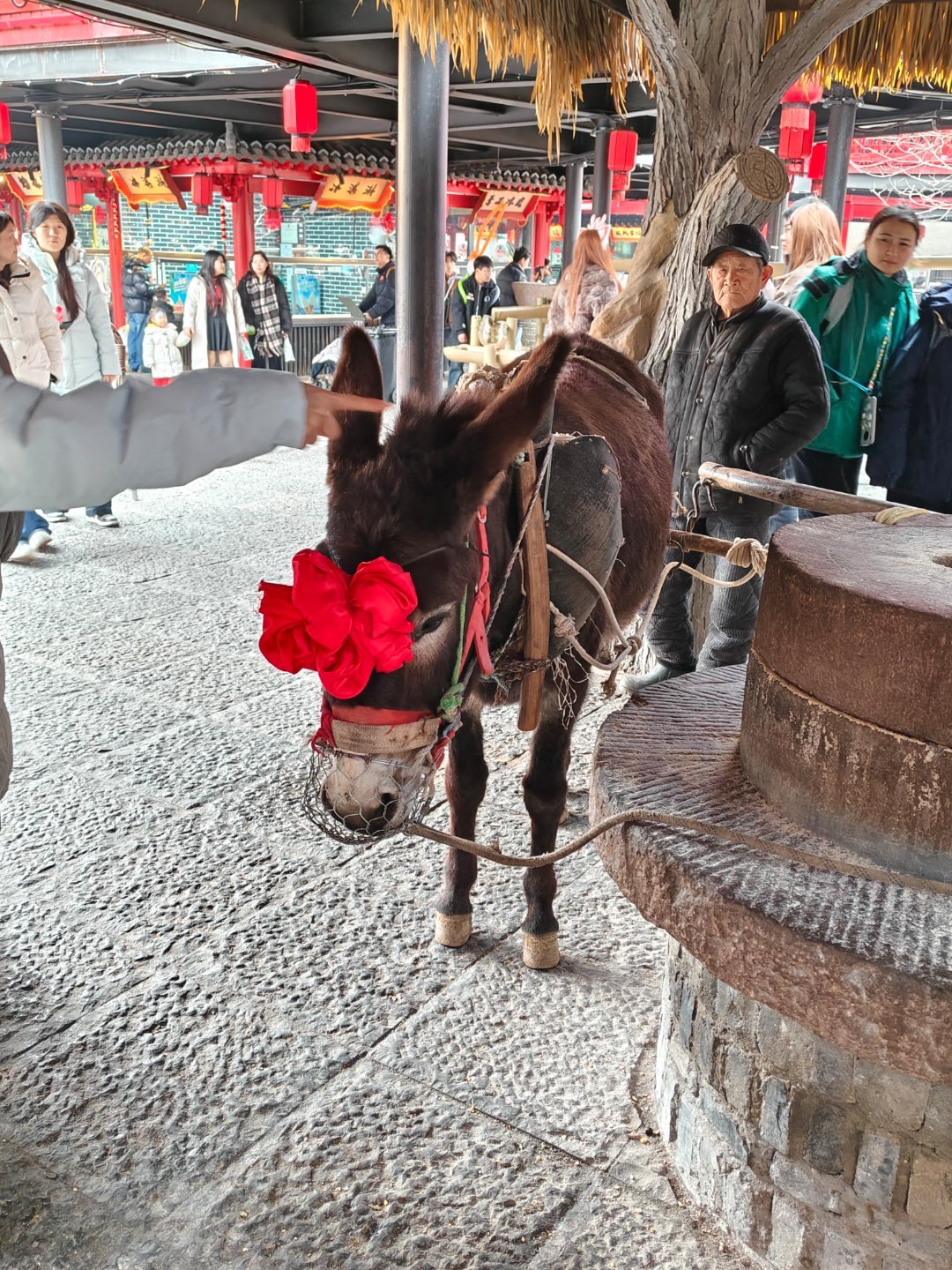 偶遇在景区兼职的皱皱 
