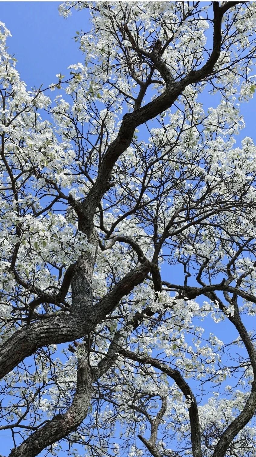 【走过，经过，尝过，还是平淡最美；听过，看过，想过，还是简单最好】
      